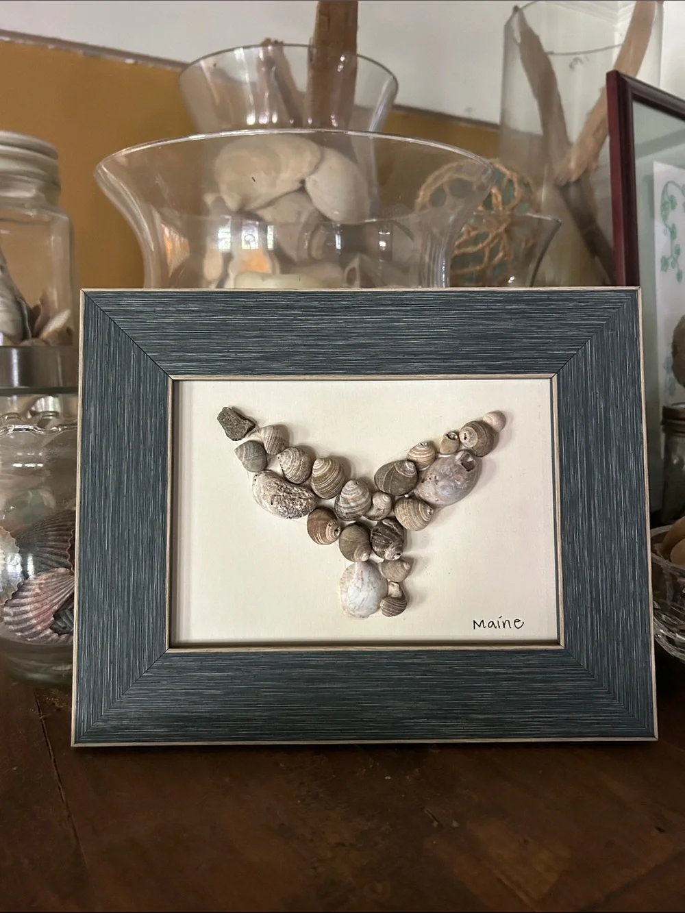 Framed Seashell Whale Tail Wall Art - Gray